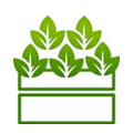 Category image